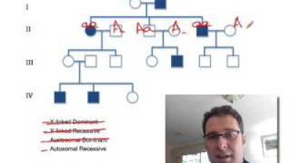 Pedigree Analysis 1 How to solve a genetic pedigree No 1 [upl. by Atworth265]