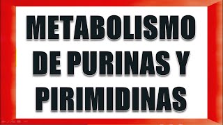 METABOLISMO DE PURINAS Y PIRIMIDINAS [upl. by Cohen]