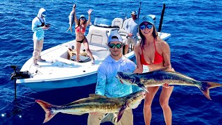 Catching COBIA Offshore St Pete Beach w LandedFishing [upl. by Goldi]