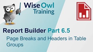 SSRS Report Builder Part 65  Page Breaks and Headers in Table Groups [upl. by Mildred]