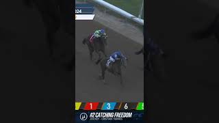 2024 Smarty Jones Stakes Replay [upl. by Lukas]