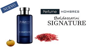 Signature de Baldessarini perfume para hombre [upl. by Atnauqahs]