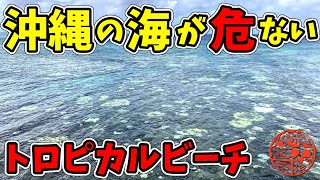 【台風接近中】ぎのわん海浜公園からトロピカルビーチに行ってみたら沖縄の海がヤバかった・・・ [upl. by Teece830]