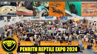 Penrith Reptile Expo 2024 [upl. by Sarine6]