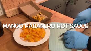 Mango Habanero Hot Sauce [upl. by Jacqui]