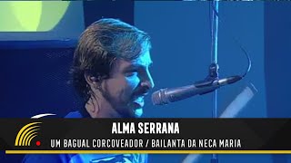 Alma Serrana  Um Bagual Corcoveador  Bailanta da Neca Maria  Ao Vivo [upl. by Mylo]