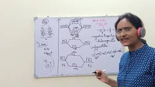 MOLECULAR ORBITAL THEORY L3 [upl. by Inanaup486]