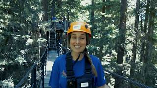 Ziptrek Whistler  Bear Tour [upl. by Ainafets]