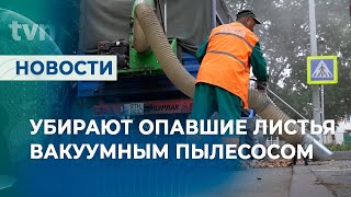 УБИРАЮТ ОПАВШИЕ ЛИСТЬЯ ВАКУУМНЫМ ПЫЛЕСОСОМ [upl. by Jacobsen]