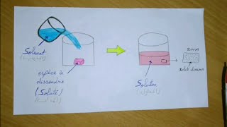 L2 Biophysique 📣 Partie 1 Les Solutions Neutres [upl. by Neibaf]