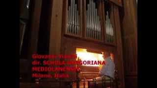 Gregoriano DA PACEM DOMINE Giovanni Vianini Organo e Canto Milano It [upl. by Oemor]