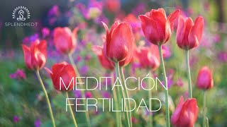 Meditación de Fertilidad para Invitar a tu Bebé a Entrar en tu Útero  Splendmedt [upl. by Porche]