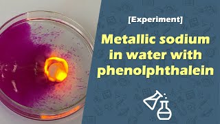 Metallic sodium in water with phenolphthalein Chemistry experiment [upl. by Letnohs337]