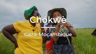 Motivos para visitar o distrito de Chókwe durante a sua viagem por Moçambique [upl. by Amzu]