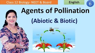 Agents of Cross Pollination NCERT Class 12 [upl. by Yerak]