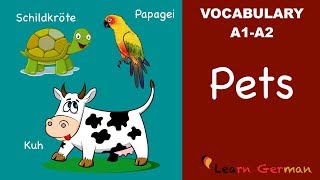 Learn German  German Vocabulary  Haustiere  Pets  A1 [upl. by Oirretno414]