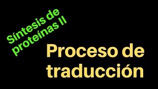 Síntesis de proteínas II Traducción [upl. by Hammock]