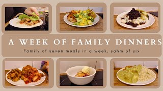 WEEK 52 FAMILY DINNERS OF THE WEEK  family of seven evening meal ideas meal plan🍝🥙 [upl. by Hpesojnhoj]