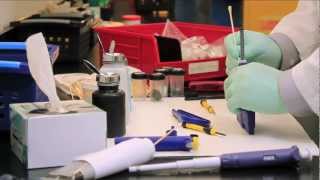 How to Calibrate Pipettes [upl. by Allie]