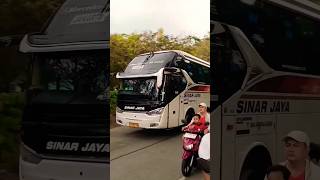 Woi Mobil BUS Sinar Jaya Itu 😎sinarjaya sinarjayamania shortvideo basuri [upl. by Puritan577]