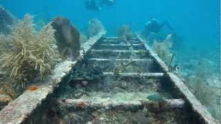 Diving in Key Largo with Rainbow Reef Dive Center [upl. by Armelda660]