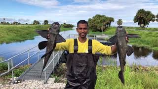 Fishing Florida pam bay [upl. by Youngran467]