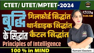 बुद्धि के सिद्धांत  Principles of Intelligence  थार्नडाइक का सिद्धांत कैटल सिद्धांत utet [upl. by Sheba]