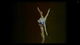 Pas de Deux from quotDiana and Acteonquot by Marius Petipa Bolshoi Theater [upl. by Ingrim]