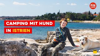 Camping mit Hund in Istrien [upl. by Anidene]