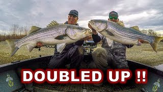 DOUBLE HOOKUP on BIG SWIMBAITS [upl. by Sklar]