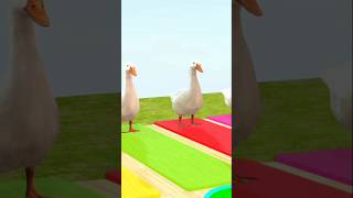 5 Giant Duck Animals Cartoons part 1 duckandgoose cartoon fountaincrossing 3danimals [upl. by Petulah]