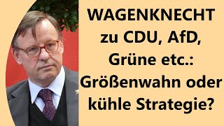 Provozieren und Brüskieren  Vereint BSW das gesamte linke Lager [upl. by Renferd]