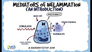 Mediators of Inflammation An Introduction [upl. by Ylram]