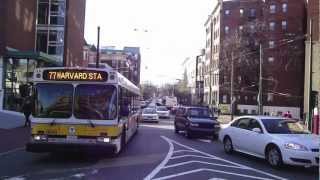 Buses of Boston [upl. by Meenen335]