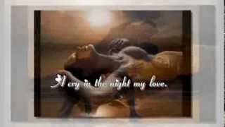 A cry in the night  Bonnie Bianco Lyrics on screen  Pentru EveA [upl. by Darwin]