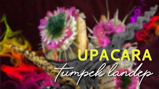 UPACARA TUMPEK LANDEP  BALI TRADITION [upl. by Hooker]