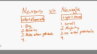 neurons vs neuroglia [upl. by Moyna]