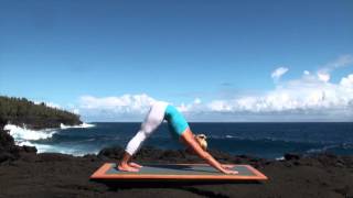 Vinyasa Flow Yoga Class for Beginners [upl. by Oedama241]