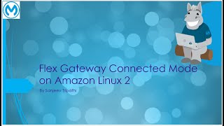 Anypoint Flex Gateway Part III  Deploy on Amazon Linux 2Connected Mode and secure Spring Boot API [upl. by Barthelemy]