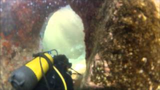 buceo en las merinas agaete [upl. by Braasch]