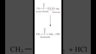 Ammonolysis of Acetyl Chloride  Preparation of Acetamide  chemistry  iitjee  neet2023 [upl. by Dayna]