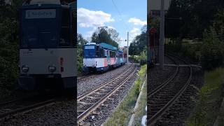 Görlitz  Tramvaje KT4DMC tram straßenbahn bahn kt4 gorlitz zgorzelec germany song [upl. by Allveta]