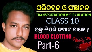 ପରିବହନ ଓ ସଞ୍ଚାଳନTransportation amp Circulation  ରକ୍ତ କିପରି ଜମାଟ ବାନ୍ଧେ  Blood clotting  Part6 [upl. by Elamor]