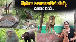 NEHRU ZOOLOGICAL PARK HYDERABAD  Complete Tour  Anchor Nirupama  SumanTV Telugu [upl. by Todd]