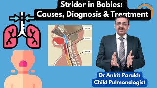 Stridor in Babies Causes Diagnosis amp Treatment I Dr Ankit Parakh Child Pulmonologist [upl. by Rehm407]