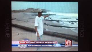 I EMPRESA SAVIA PERU SA DERRAME DE 200 BARRILES DE CRUDO EN PLAYA LOBITOS [upl. by Gader]