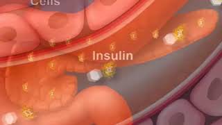 How Diabetes Affects Your Blood Sugar An Animated Guide [upl. by Furie]