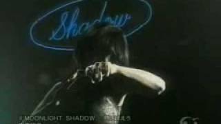 Akina Nakamori  Moonlight Shadow  月に吠えろ [upl. by Karsten]