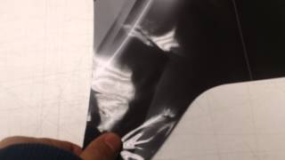 How to remove wrinkles out of vinyl [upl. by Natek]