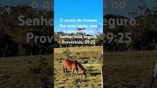 Provérbios 2925 O receio do homem lhe arma laços mas o que confia no Senhor está seguro God [upl. by Ahsekahs]